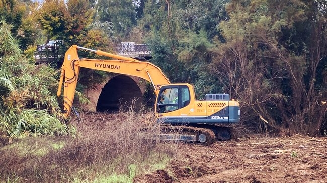 Iniciados los trabajos de desbroce y limpieza del proyecto ‘FlubioGenil’