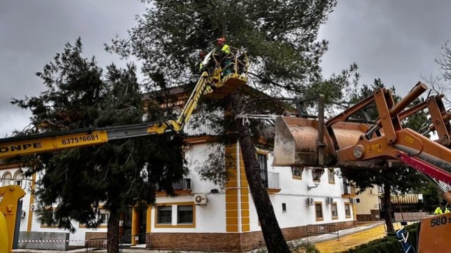 El ayuntamiento está realizando una valoración de daños y actuando donde más se necesita