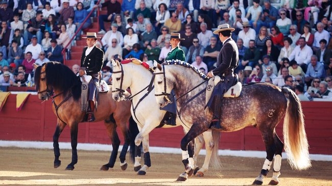 Magnífica tarde de rejoneo en la plaza de Écija