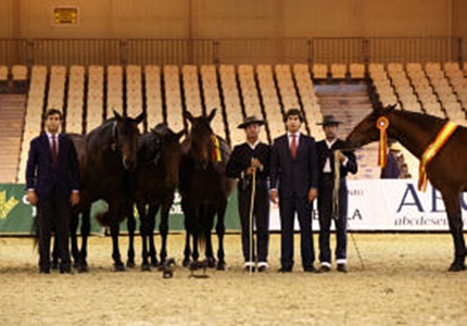 ganadería de María Fernanda de la Escalera