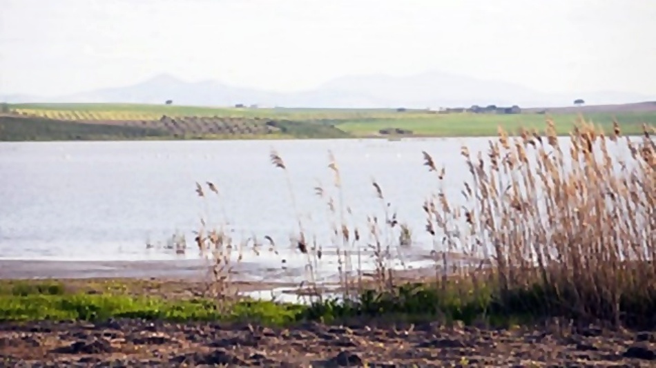 Laguna de Ruiz Sánchez