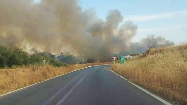 incendio en el antiguo cauce del río Genil