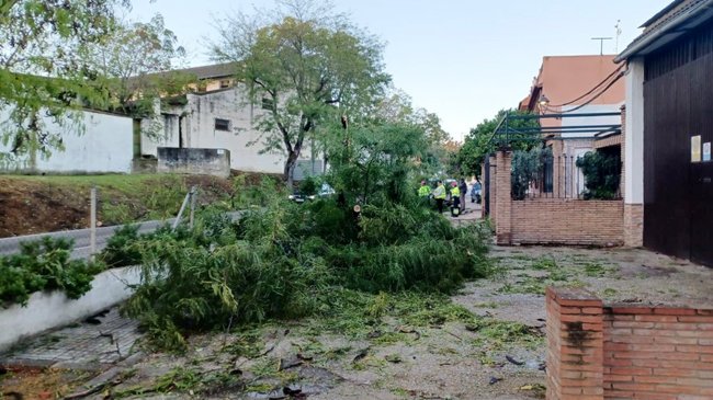 daños del paso de la turbonada