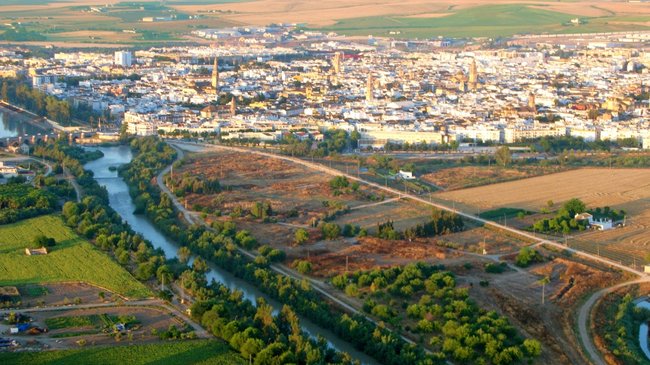 proyecto Flubiogenil