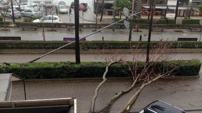 arbol y farola caidos en avenida de Genil