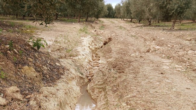 camino rural de ecija