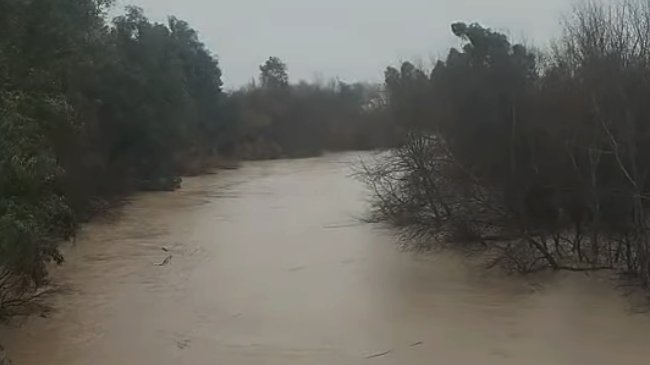 caudal del río Genil