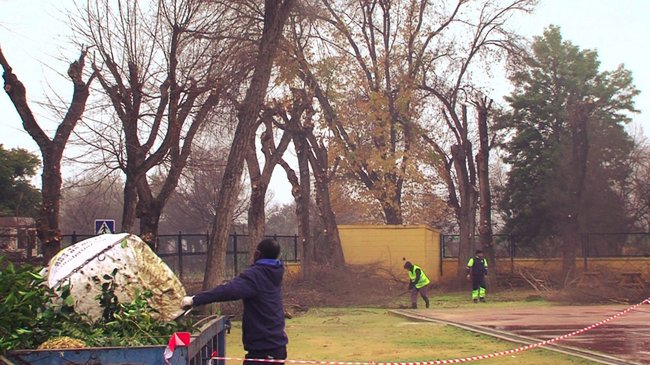 poda y limpieza en los colegios