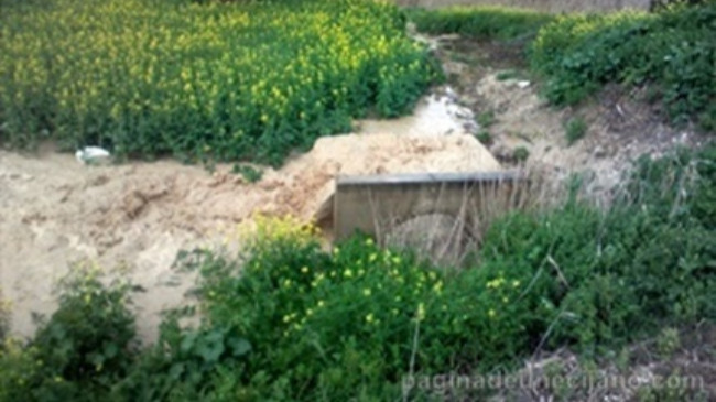 desbordamiento rio genil