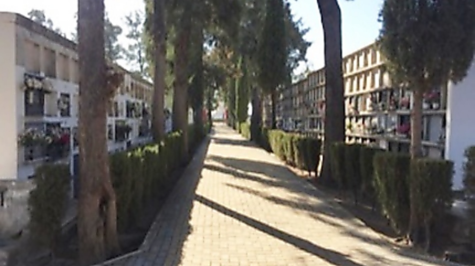 cementerio municipal