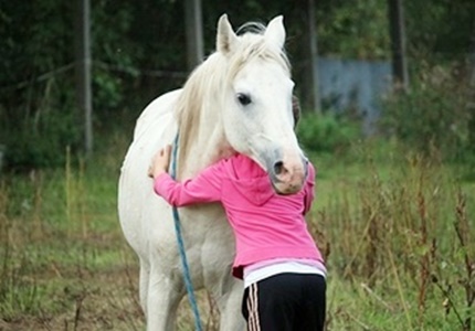 Desarrollo de las Terapias Ecuestres