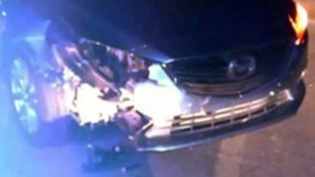 coche acidentado con un perro