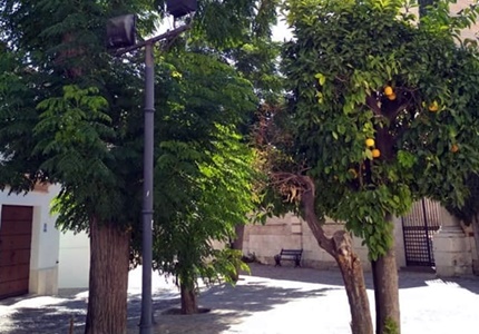 arboleda de san juan