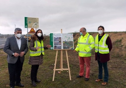 inicio obras mejota carretera ecija con palma del rio