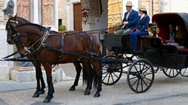paseo de Caballos y Enganches