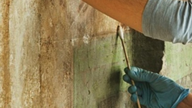 rehabilitación peñaflor