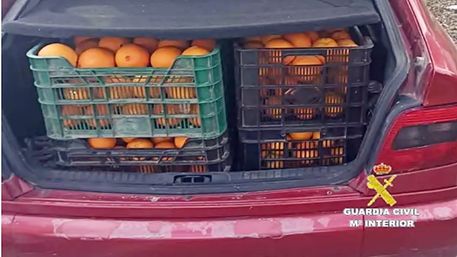 vehiculo con naranjas robadas