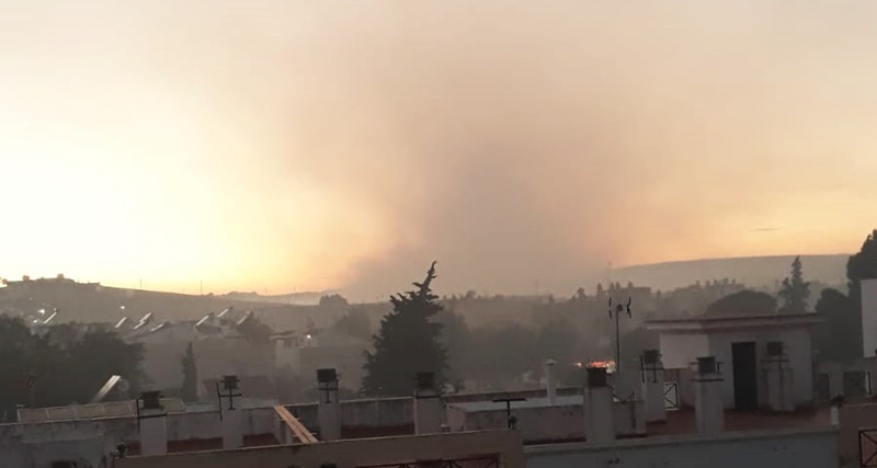 humareda sobre ecija