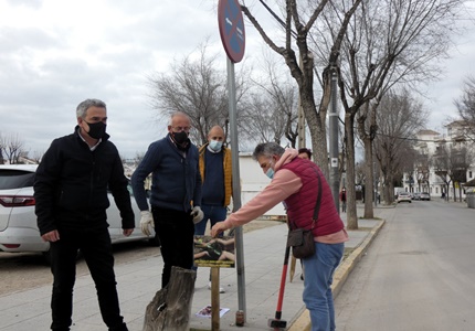 “más árboles para nuestra ciudad, más vida para las personas”