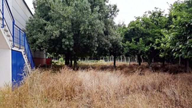 instalaciones de la piscina descubierta