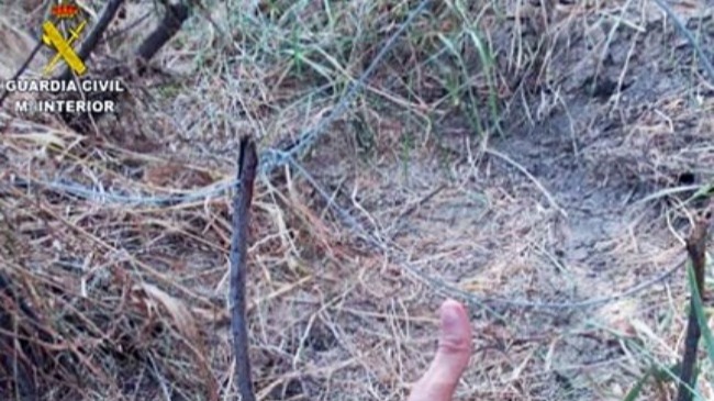 lazos ilegales de caza menor