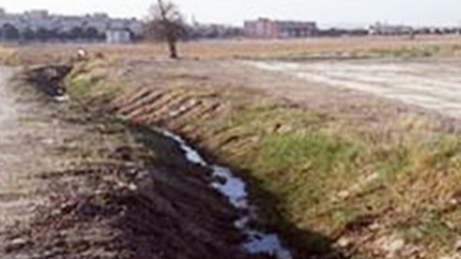 camino de la barranca