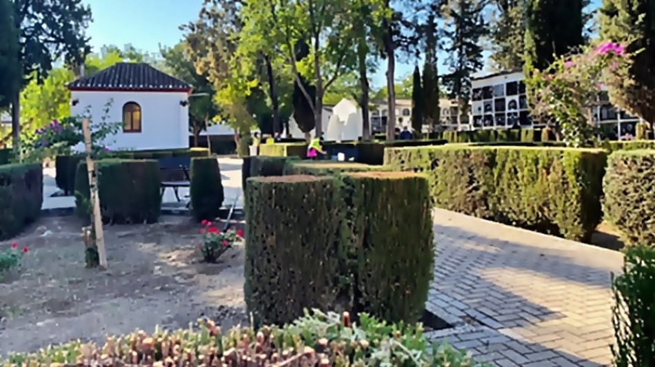 limpieza cementerio municipal
