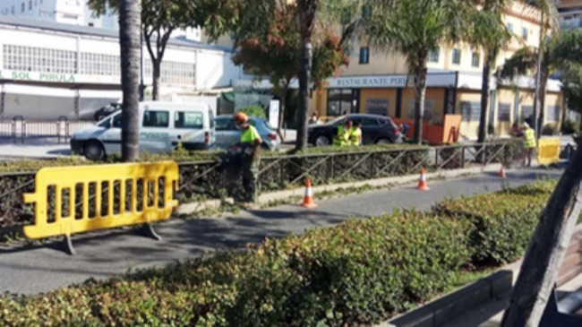  limpieza y mantenimiento de zonas verdes del bulevar