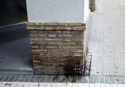 orina y excrementos de perros