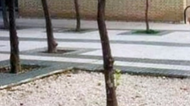 obras no acabadas en la paz