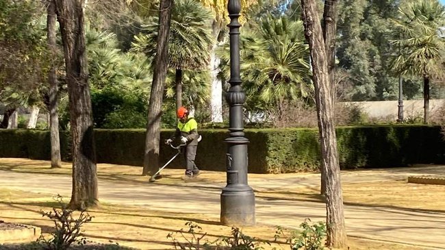 trabajos de jadineria