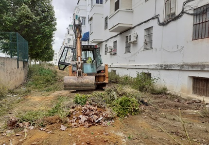 quitando malas hierbas