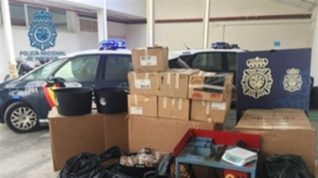  tabaco de contrabando