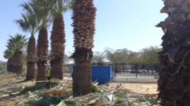 zona aledaña a la corta rio genil